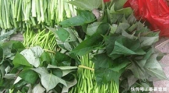 好处|此种叶子很营养,每天炒一盘,排毒养颜、减肥瘦身,对身体好处多