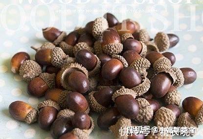 坚果|农村有一种野果像陀螺，被誉为坚果之王，如今稀罕要20元一斤
