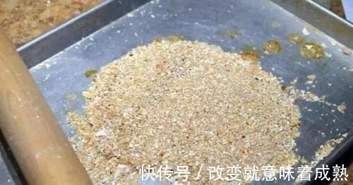 虎皮兰|3种没人要的“玩意”,捡一点养花,肥效好,还防冻!