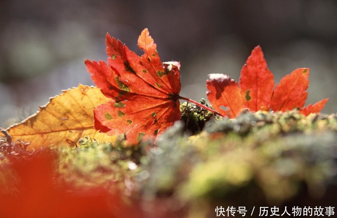 唐朝最孤獨的一首詩 只有22個字 千百年來無人超越 中國熱點