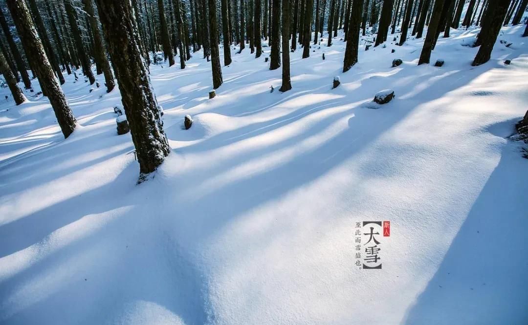  到了大雪|大雪节气是要下大雪的意思吗？大雪节气是怎么来的，有哪些习俗？