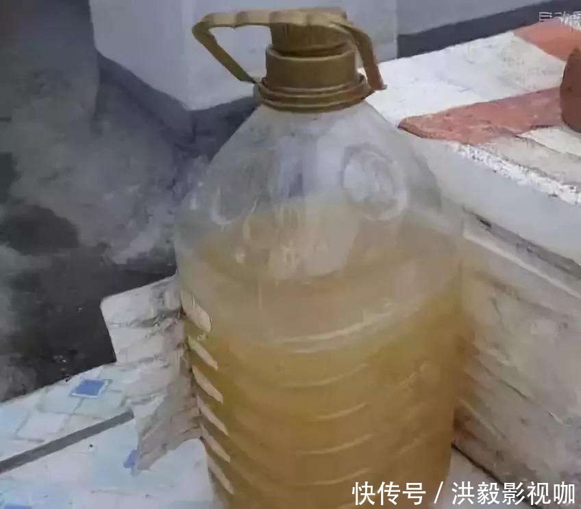 茉莉花|茉莉修剪专挑出头枝,抓住机会,一个月后还能有花赏!