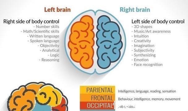 伤仲永|在幼儿园里有这3种特质的孩子，大多是学霸苗子，你家娃有吗？