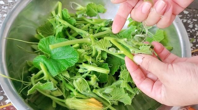 城里人|立秋以后，这菜要抓紧吃，营养极高，一煮一拌，给肉不换，真好吃