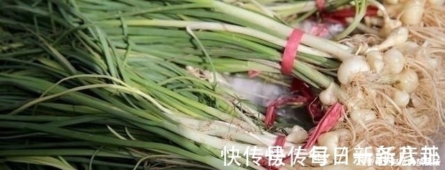 野菜|农村常吃的6种野菜，若你只吃过2种，都不好意思说自己是农村人