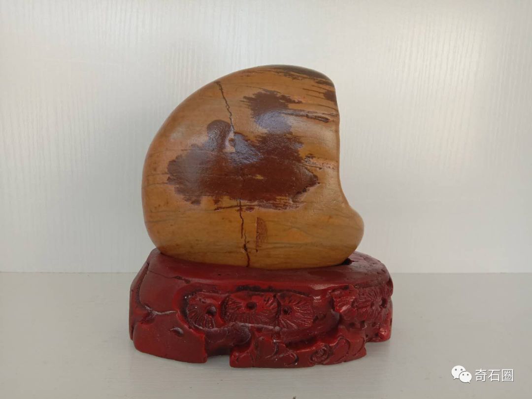 石头|金沙江边的康巴汉子捡了8年石头,摆满了一屋