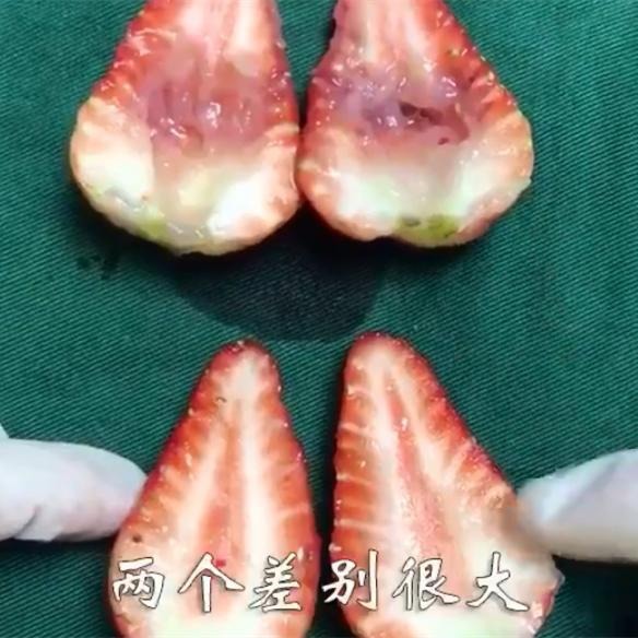 胚胎|“人流”對女性傷害有多大 醫生用草莓“演示”人流過程