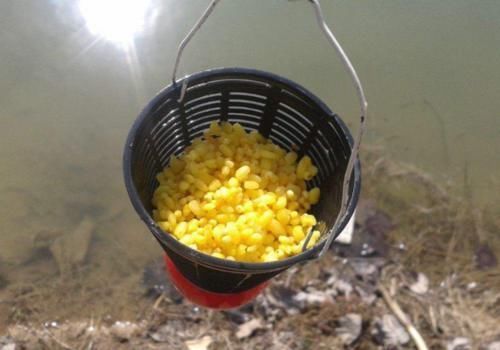 误区|酒米的神奇你听到过多少?关于酒米的几个误区