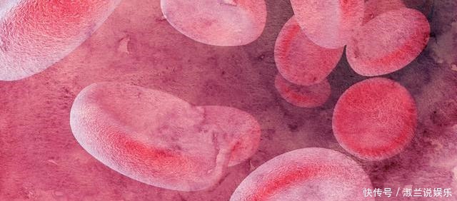 血液循环|睡前常吃维生素E,会有哪些好处若你爱吃,真有福气