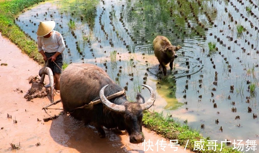 侗族大歌|人间秘境 水墨侗乡 宣恩晓关欢迎您