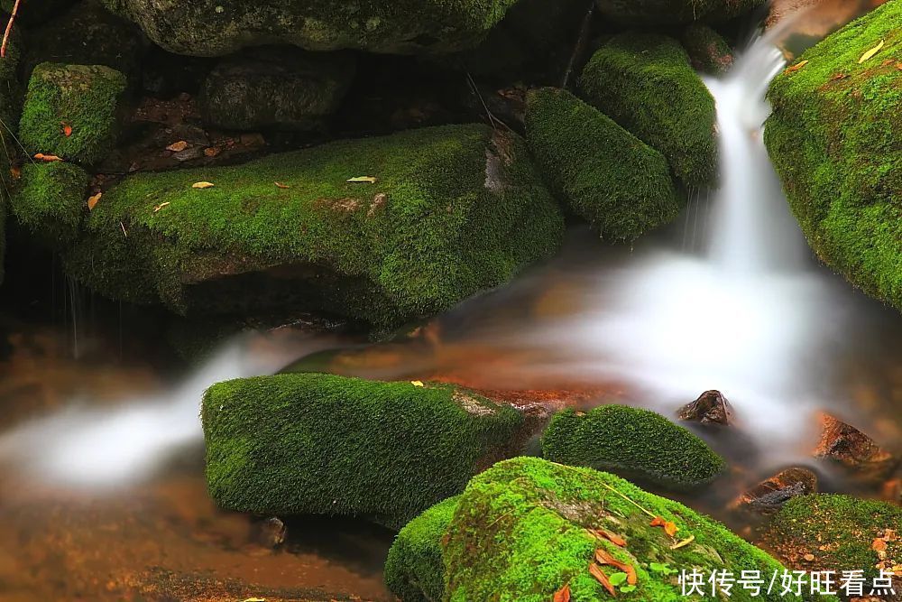 百卉|魅力陕西行·初夏，邂逅红河谷