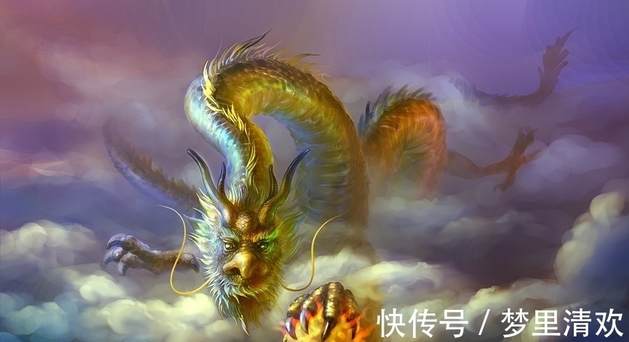 雷雨&为何总有老人说自己见过龙?这种动物是龙原型,国家一级保护动物