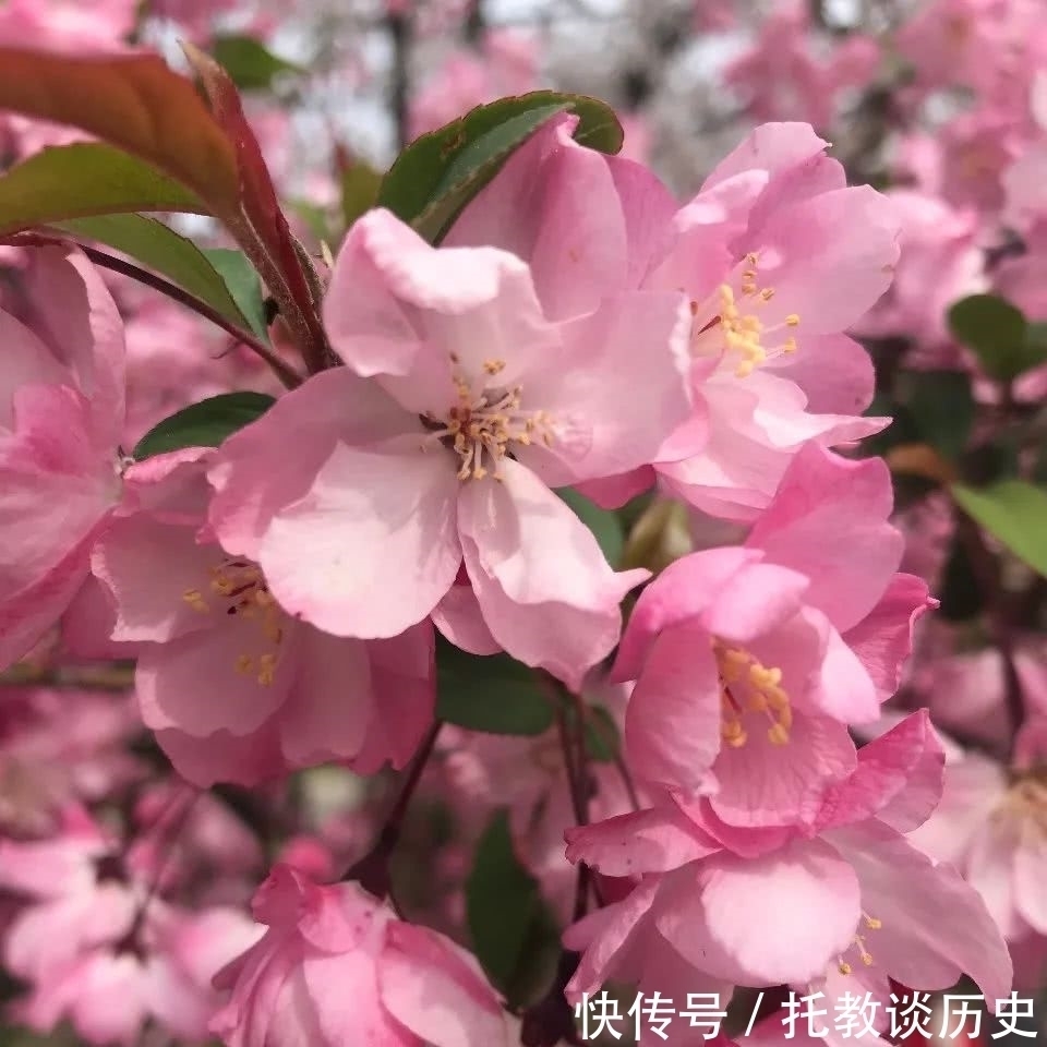 郑朝晖:物是人非背后的人生况味——晏殊《破阵子》读后