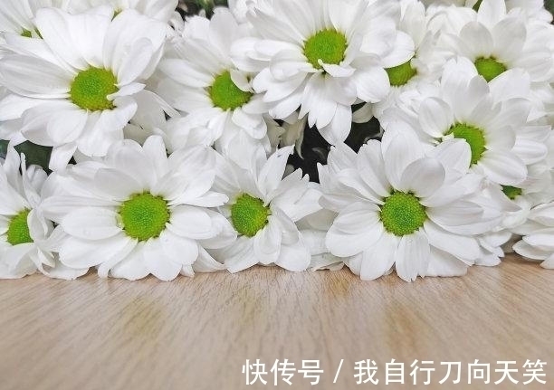 桃花|7天内，桃花相助，可聚财运，旧爱回首，异常激动，生活品质超好