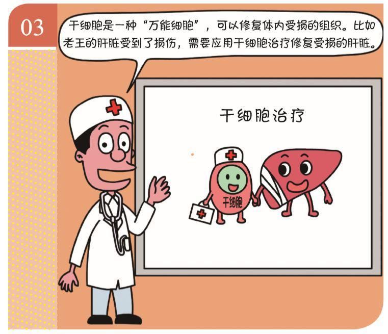 增强|情绪对免疫力的影响有多大？增强免疫力与这4点息息相关