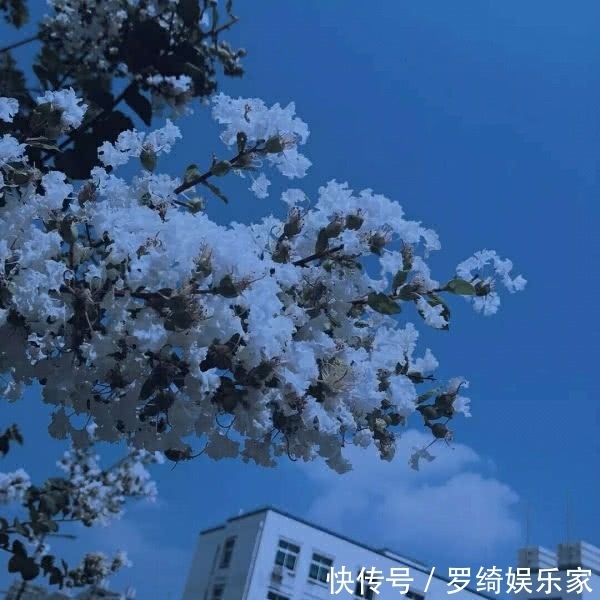 晓看天色暮看云|神仙·朋友圈背景图丨天暗下来 你就是光