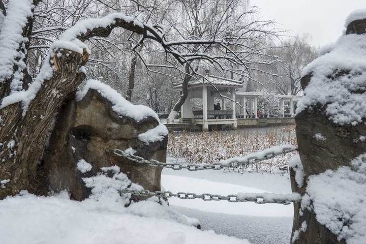 寒梅傲雪|瑞雪兆丰年