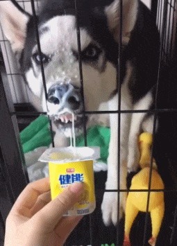 |搞笑GIF: 姑娘你好皮 是不是刚才不小心掉进水里面了