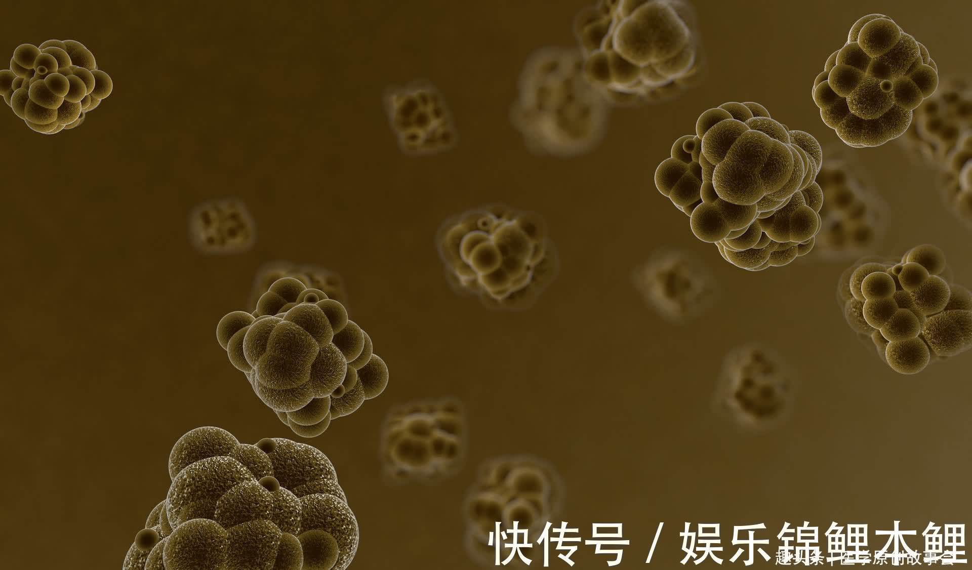 肿瘤院长|晚期癌症只能活活痛死？癌症根本不用治？肿瘤院长讲了九个真相