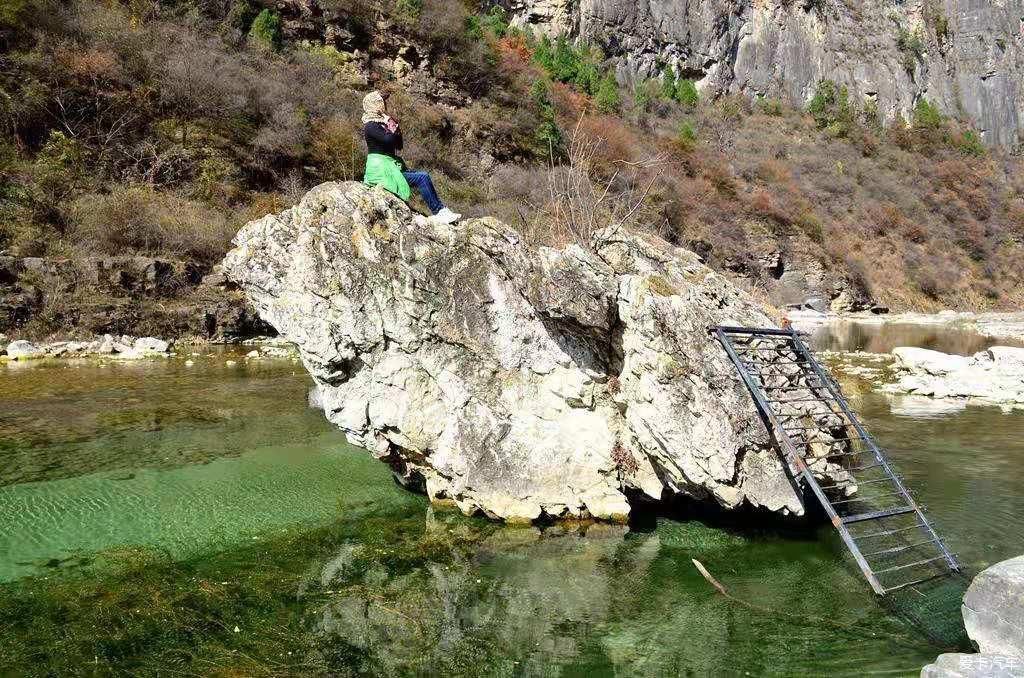 陵川红豆杉大峡谷