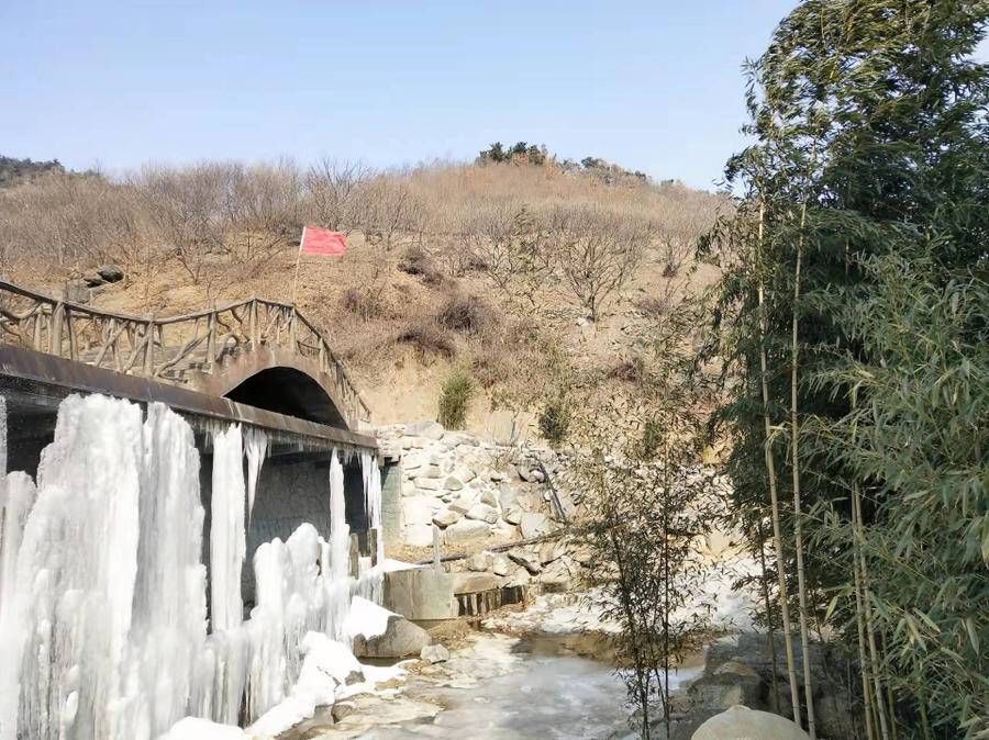 大寒雪|青未了｜大寒雪未消 冰挂各妖娆