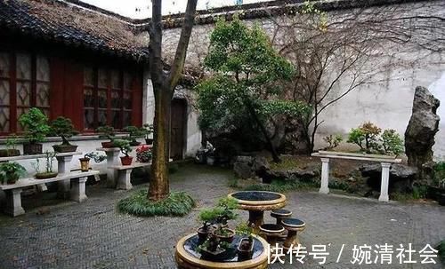绿植|花卉、绿植、盆景、蔬菜,如果有自己的院子你更愿意养哪一种?