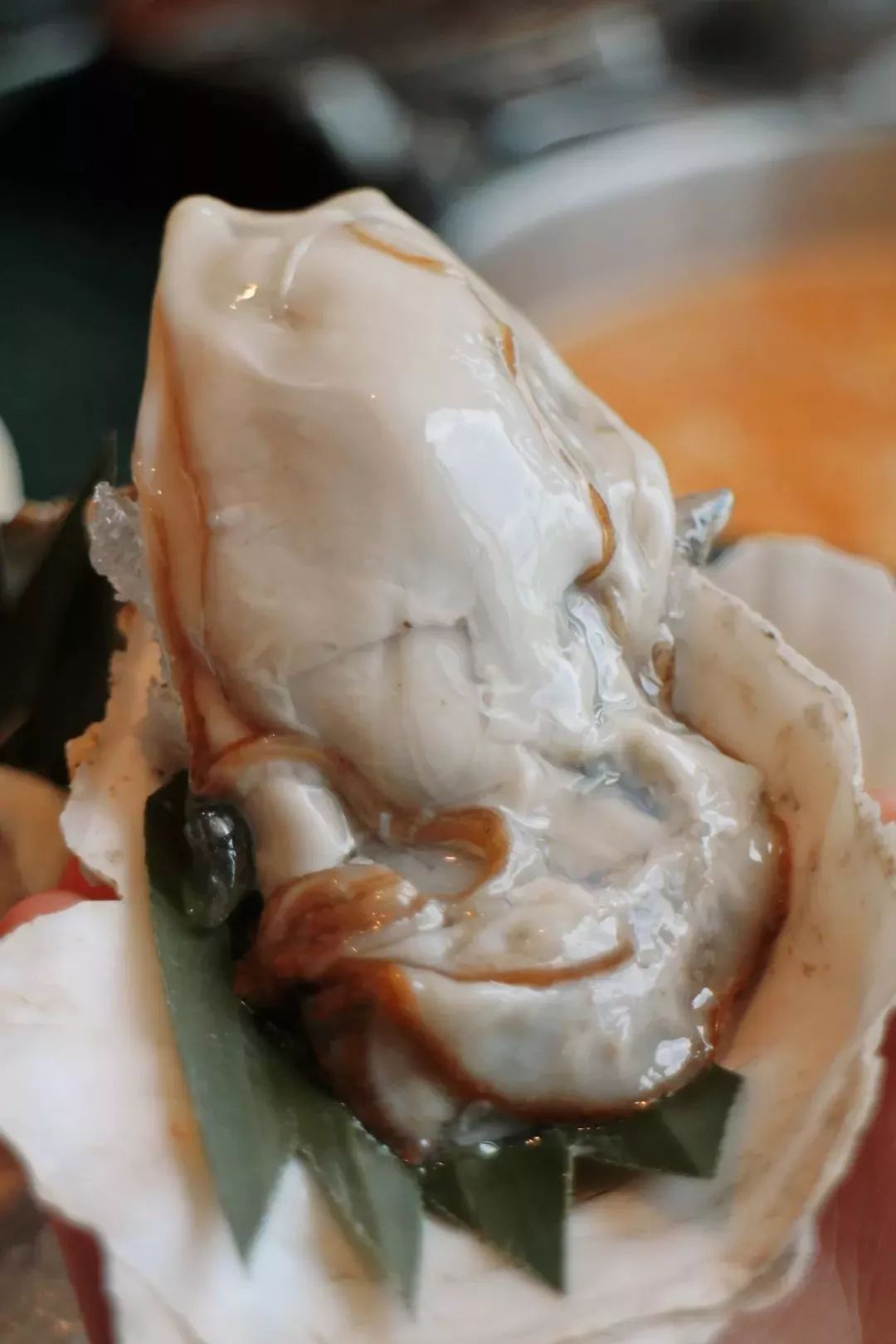 空降|空降的「泰式海鲜火锅」,—秒穿越到泰国