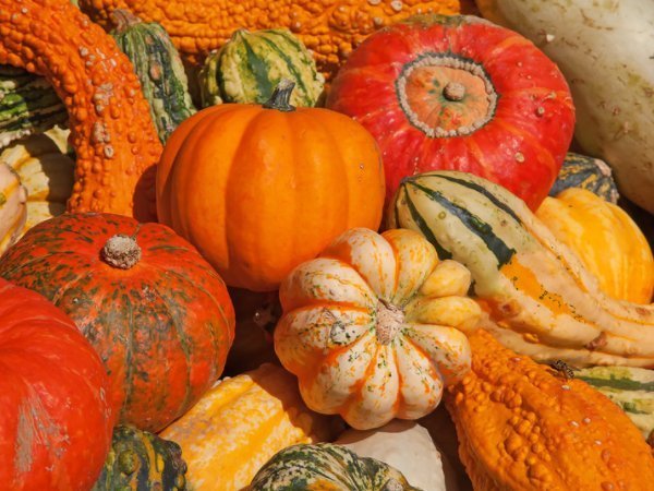 产妇坐月子一定要吃4种食物,不仅补充气血,还产奶瘦身