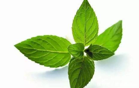 穴位|“经络不通,百病易生”,3种食物+3个穴位,活气血通经络