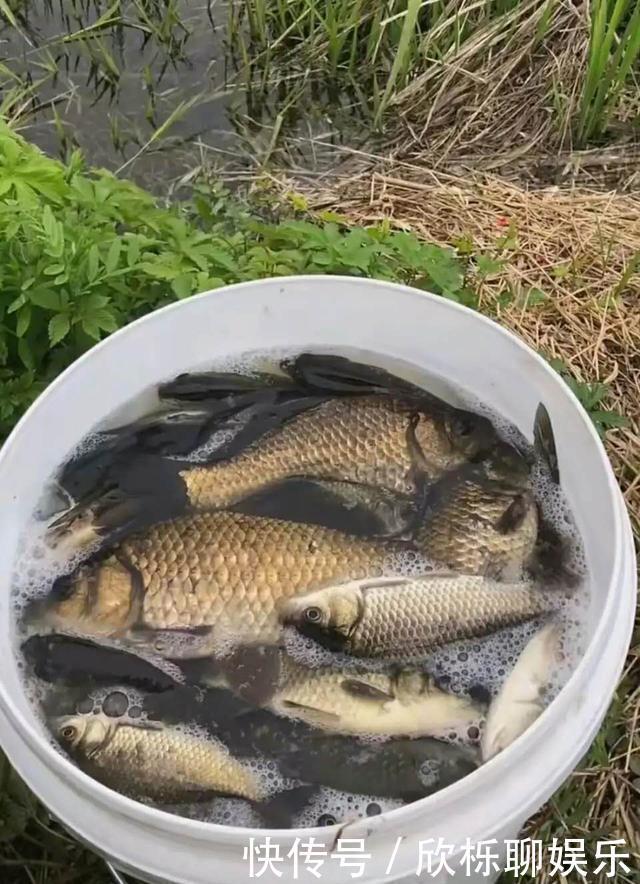 钓鱼小药并不神秘,自制比买的还要好,大部分自家厨房就有