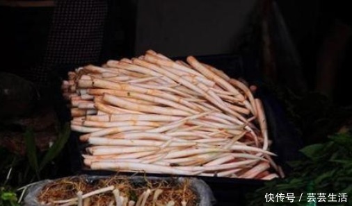 香蒲|常被误认成藕带，“爷爷辈”闹饥荒时才吃，如今成高端菜25元1斤
