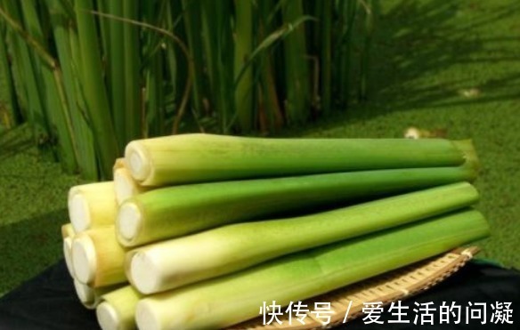 食物|癌症虽不能治疗,常吃4种“抗癌”食物,吃了就比不吃强