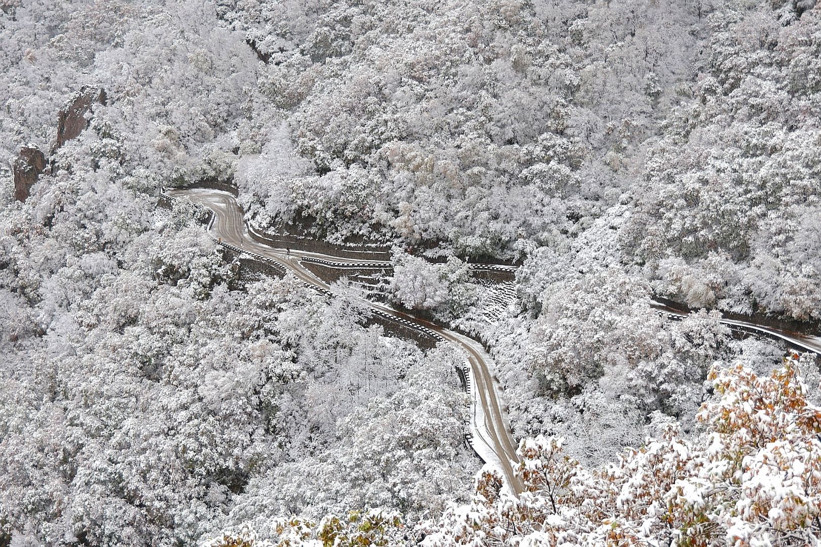 百花山|雪景与云海“同框”！今天的百花山美如仙境