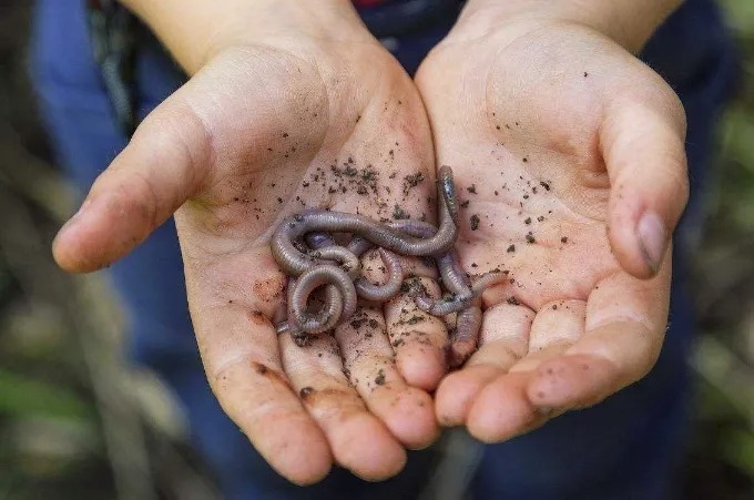 天气冷鱼就不好钓了?别被坑了,只要精选3大招式,板鲫越钓越大