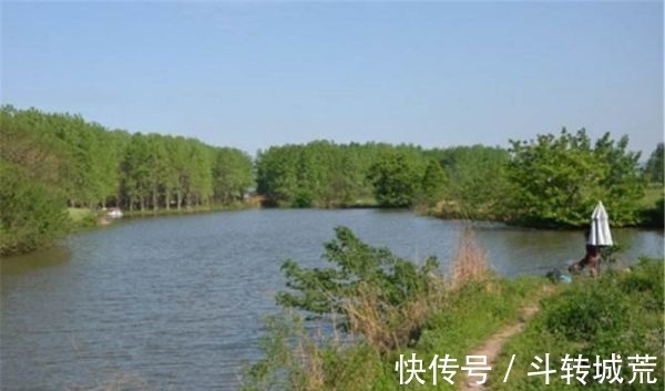 垂钓|野河钓鱼,找鱼窝的常用方法,找拐弯找水草,不过这种地形才最佳