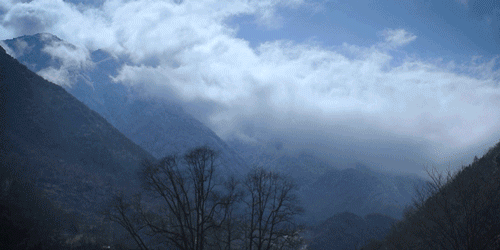 一物一生，吃完萝卜，一生系列就停在这里了吧