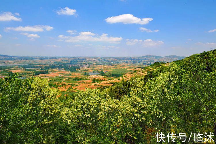 情定三生|美丽的苍马山