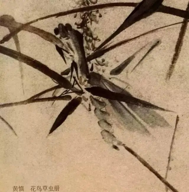 蝈蝈$国画技法图典——草虫篇:蝗虫 蚂蚱 蝈蝈 螽斯 螳螂 蟋蟀