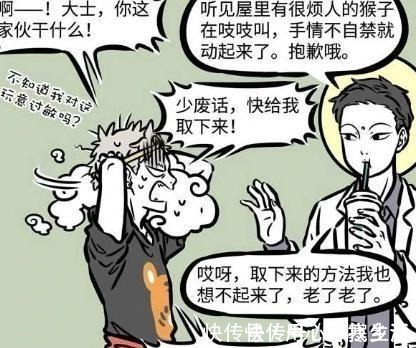 大士|非人哉大士总是对悟空金箍“问候”引起不满,原来孩子长大了