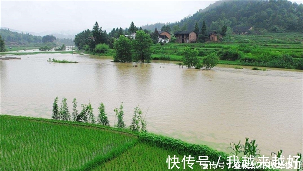 黄颡鱼|夏季钓鱼,出门之前先看“天”,遇上这些天气时,爆护的机会来了