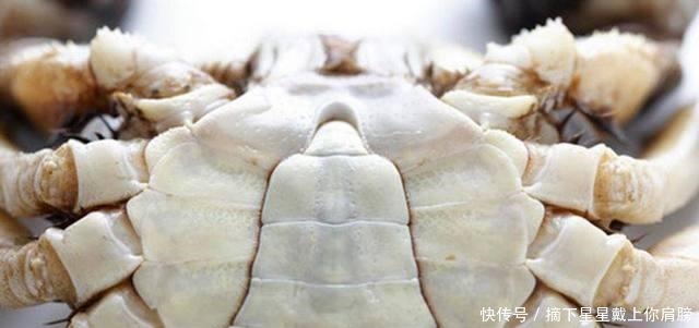 这才是吃螃蟹最正确的方法,吃那么多年螃蟹,你还是没搞明白!