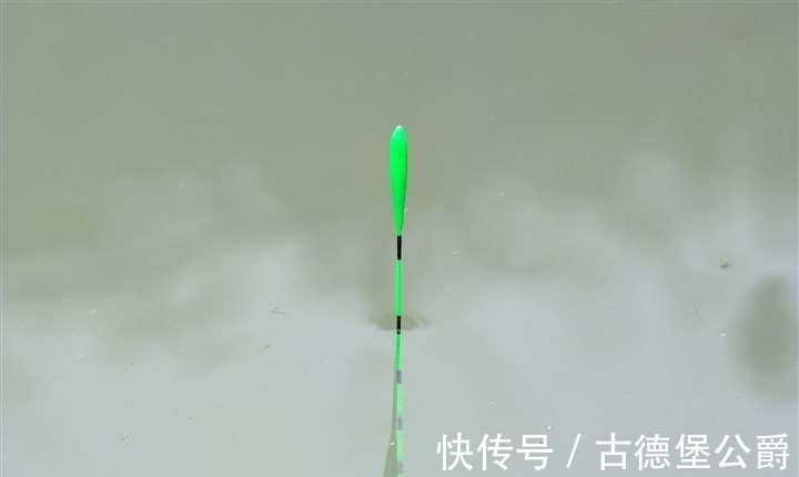 钓鱼|搞明白浮漂产生动作的原因,就知道怎么钓鱼了