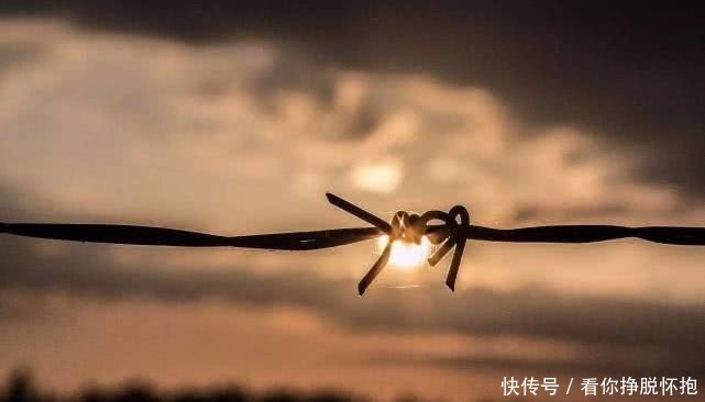 南怀瑾|南怀瑾大智慧:人这一辈子,不过是自欺欺人被人欺,说的都是人生