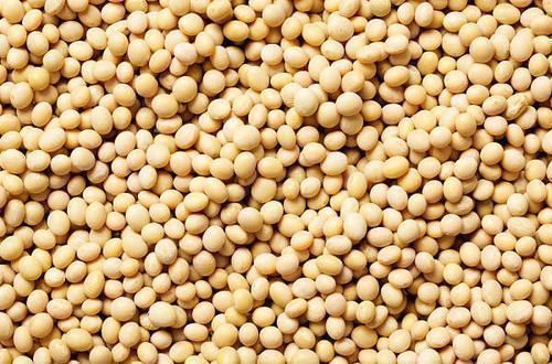 大豆|女人多做3件“小事”,或许能增加体内雌激素,实现“逆生长”