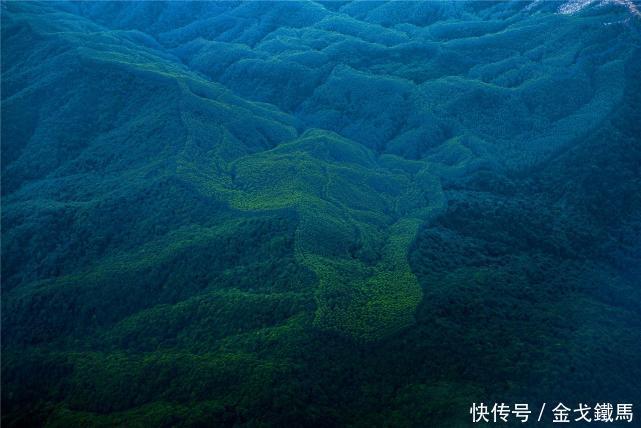 干得漂亮!中国一个行动为全球做出贡献,科研员:还是低估了