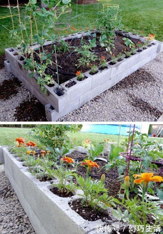 院子|光秃秃院子太浪费,农村老爸用18块空心砖,改造成人见人爱的菜园