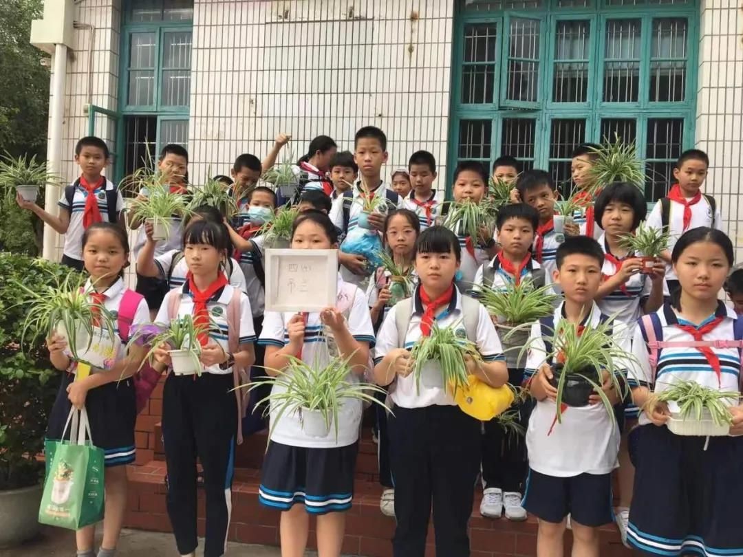 漳州市岳口小学|菁菁校园百草香---漳州市岳口小学被确定为全省中医药文化教育试点