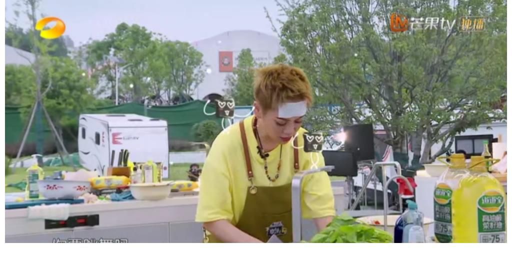 明星|《中餐厅》明星真实厨艺PK,龚俊排名靠前,姚安娜提升空间大