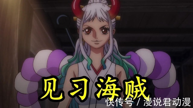 见习|海贼王:大和加入草帽一伙,她能担任什么样的职位