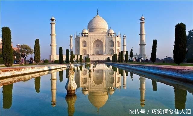 茶叶|中国作为茶叶发源地,为何每年还要花费2亿多,从印度进口茶叶?